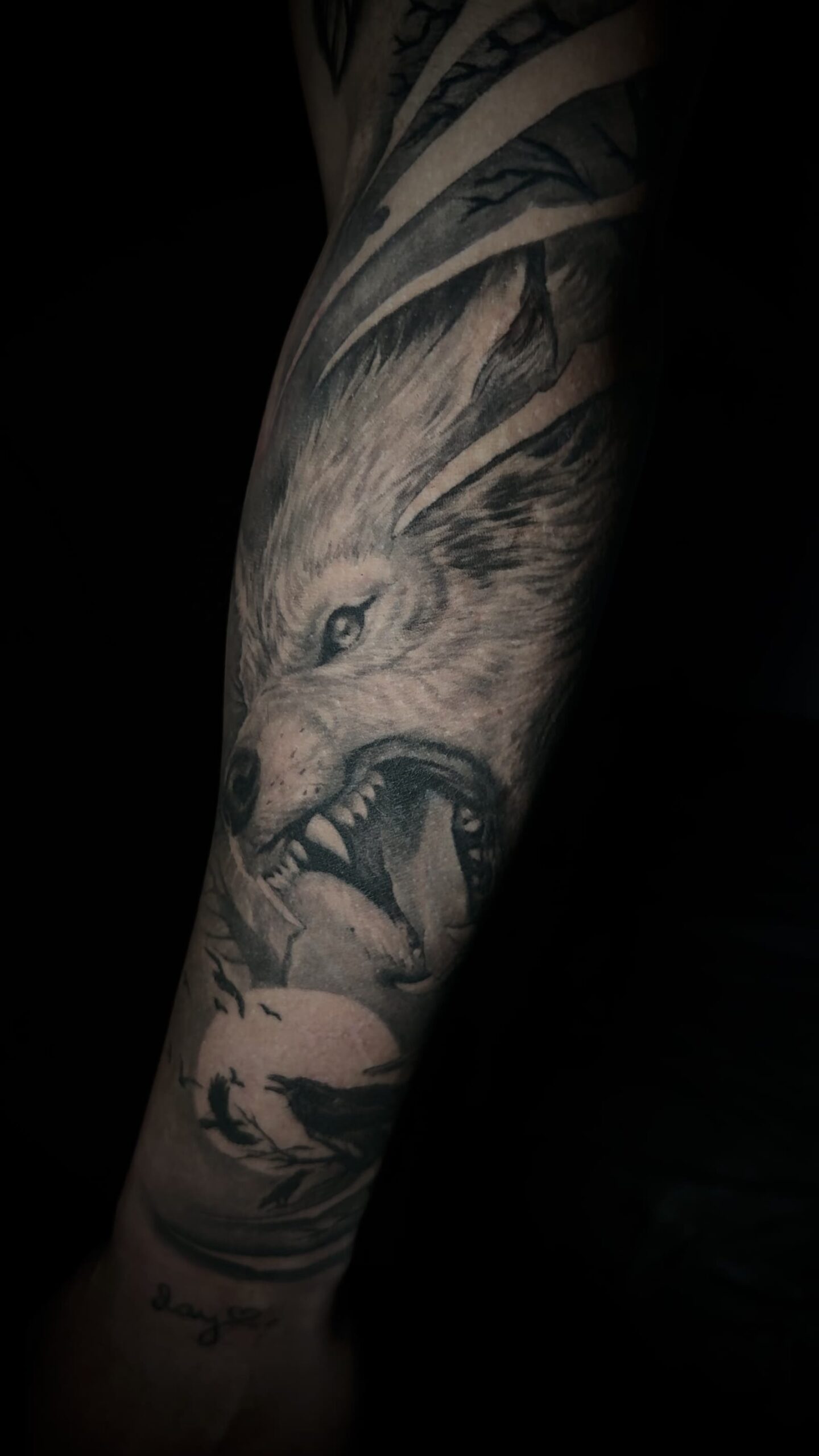 Espalda – Composicion · Leo Trillos Tattoo · Valencia